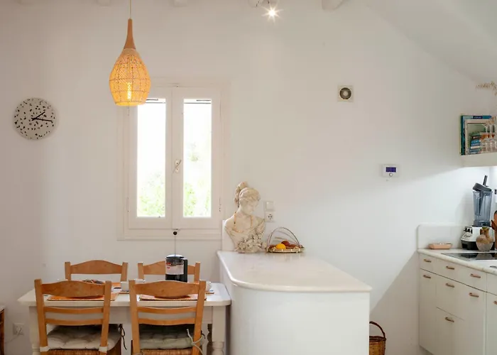 Villa Stylish Cycladic Family With Private Gardens - Botanica Agkeria